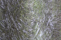 Cardigan fibreglass roof work